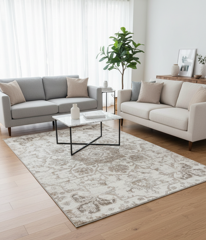 Tala Distressed Contemporary Cream Indoor Rug-2