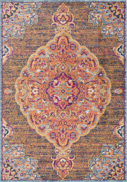 Floria Floral Medallion Traditional Blue and Pink Indoor Rug-16