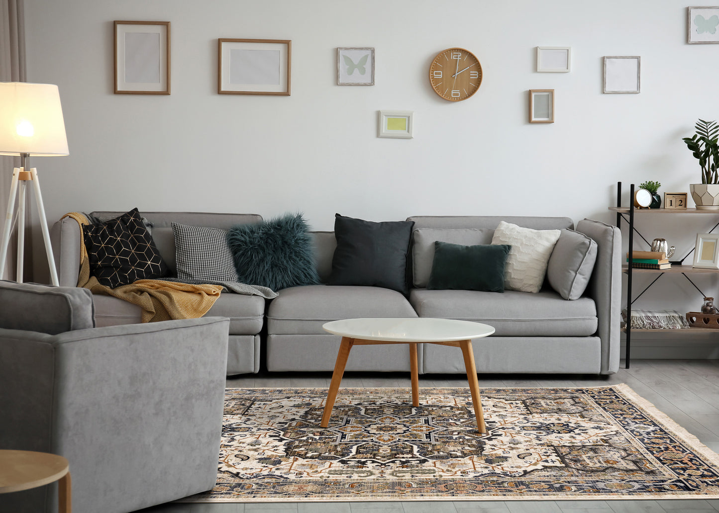 Classic Traditional Grey Area Rug