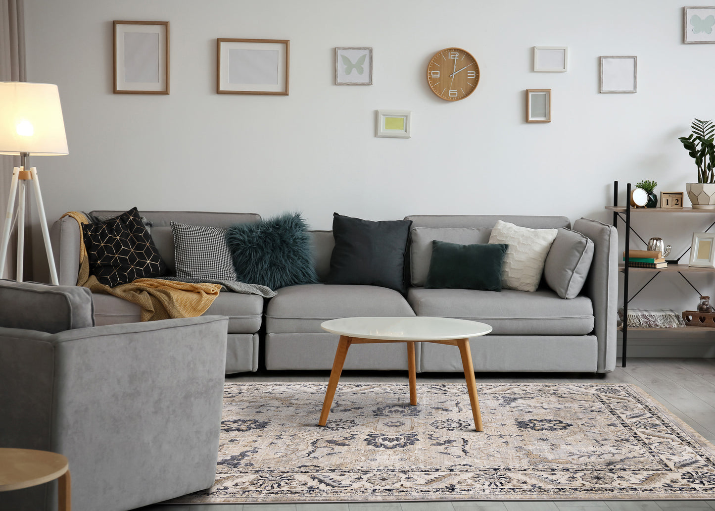 Contemporary Elegant Beige Area Rug-3