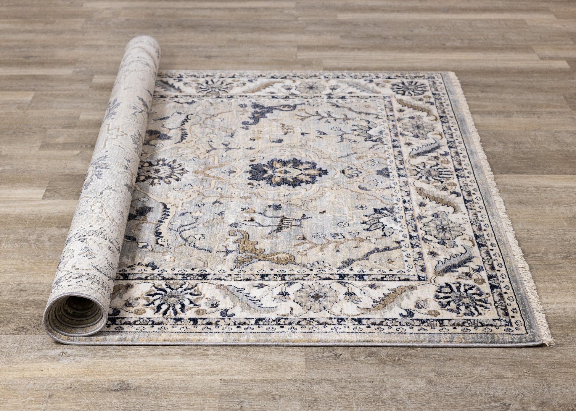 Contemporary Elegant Beige Area Rug-7