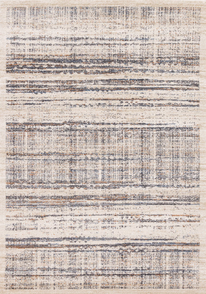 Contemporary Border Distressed Beige Area Rug-1