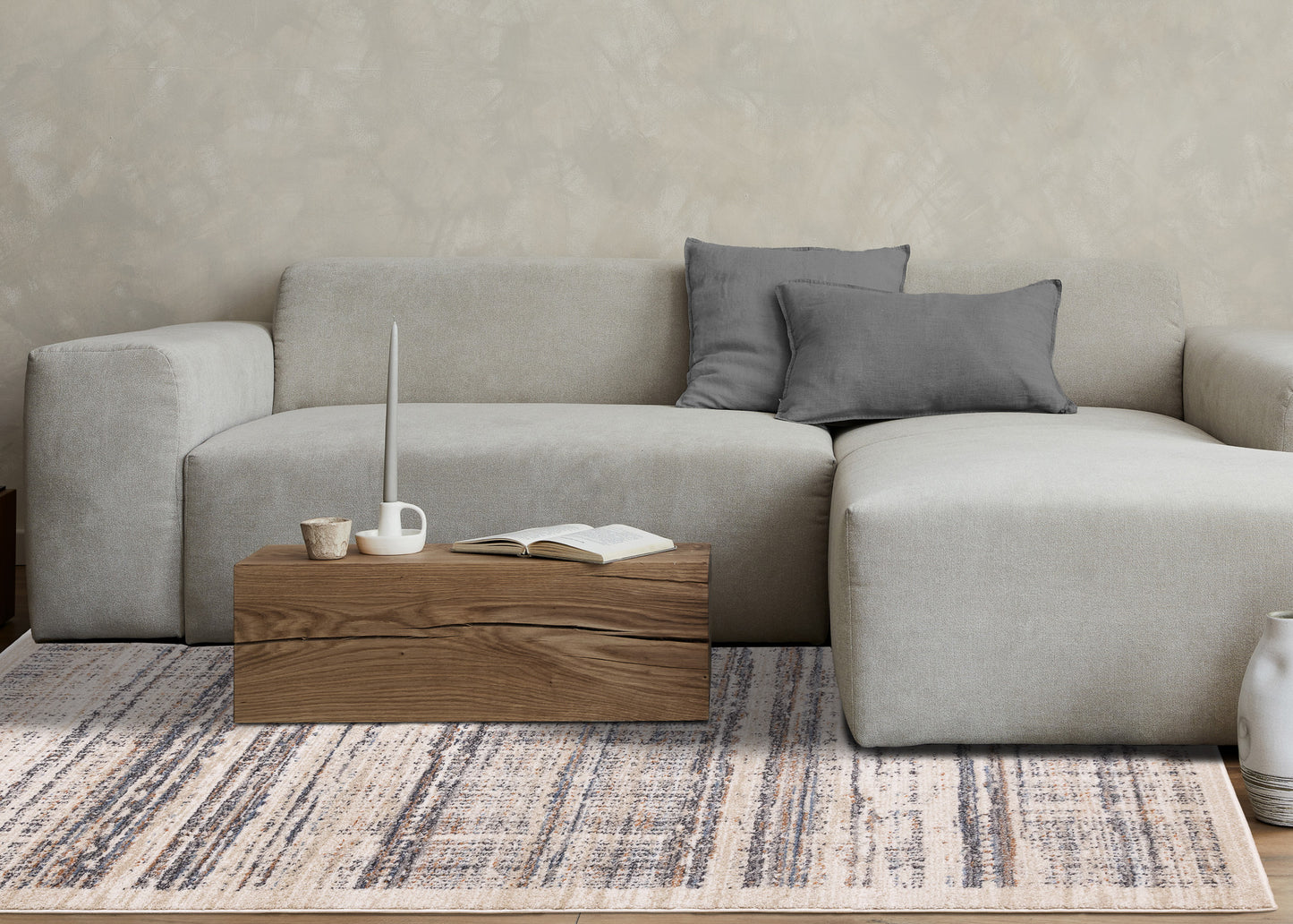 Contemporary Border Distressed Beige Area Rug-3