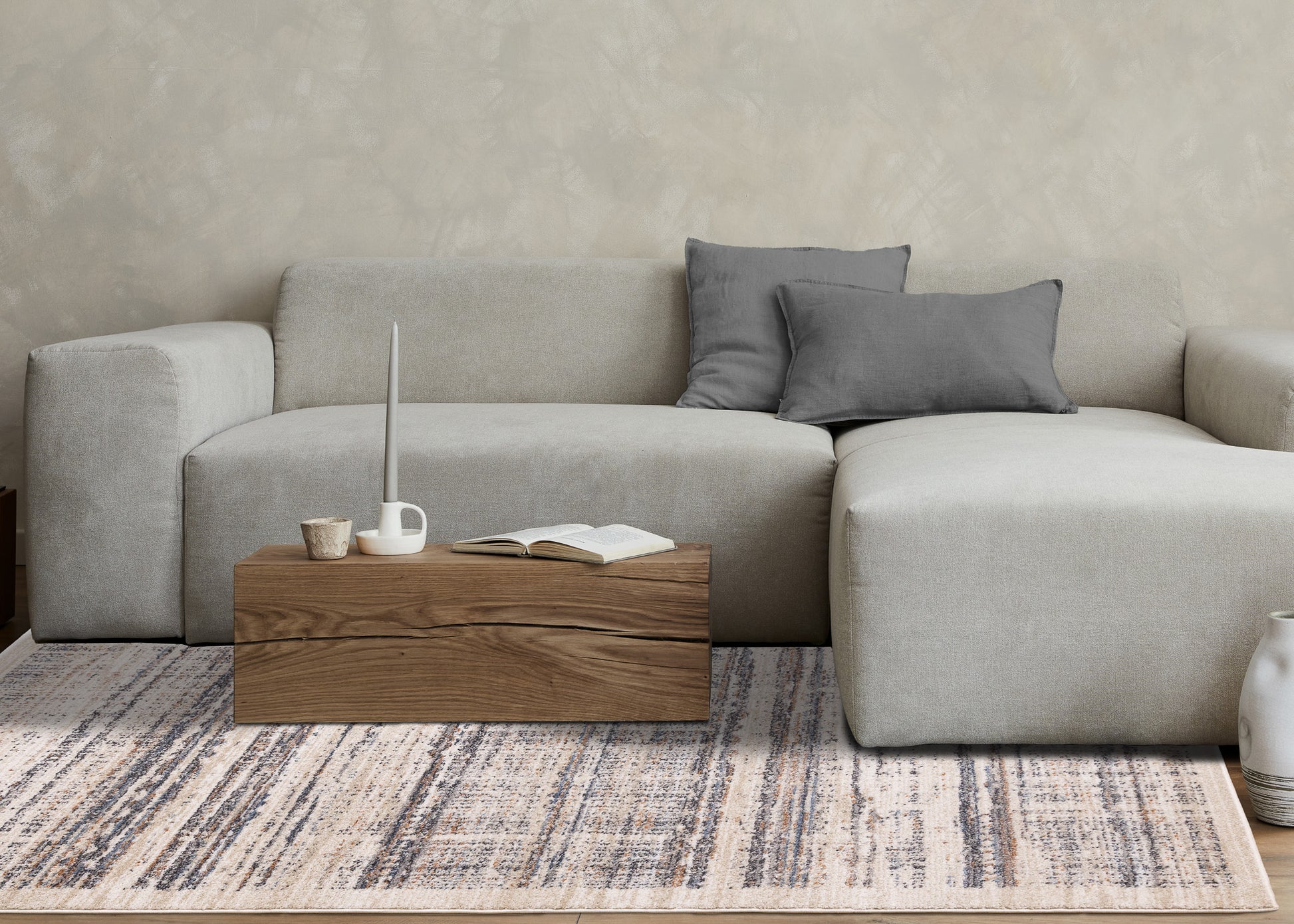 Contemporary Border Distressed Beige Area Rug-3