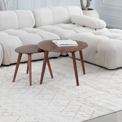 Astra Boho Abstract Beige Rug