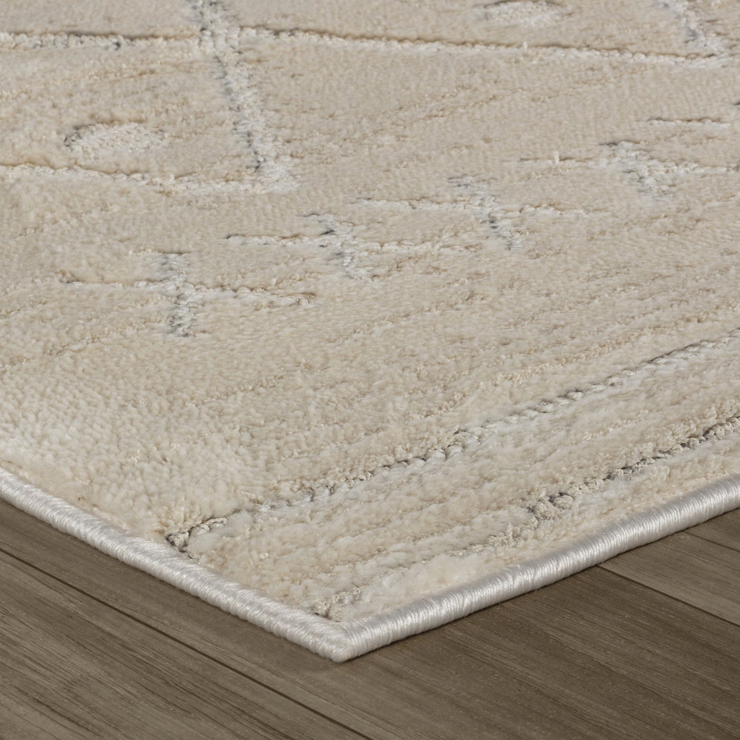 Satori Boho Contemporary Beige and Cream Indoor Rug-17
