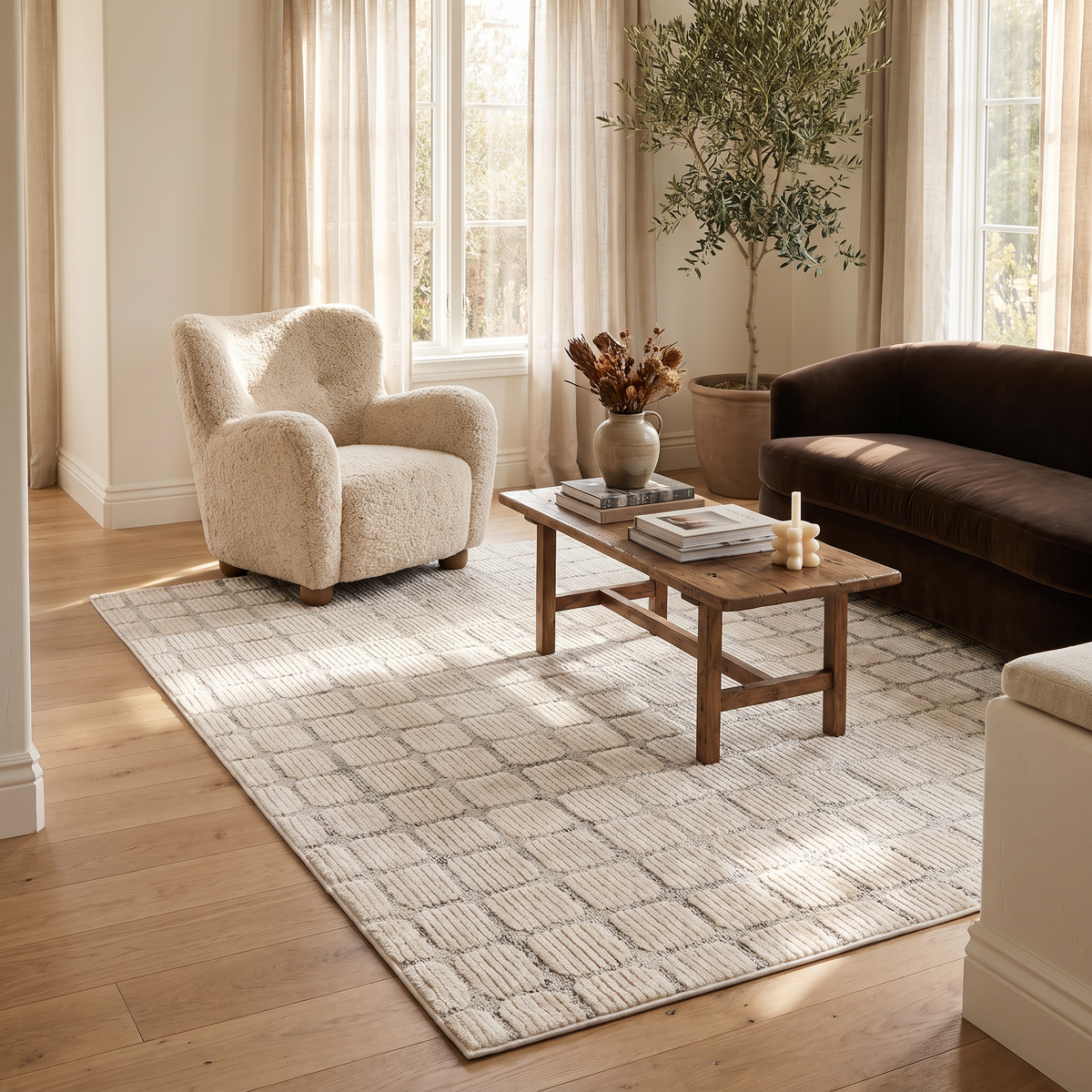 Seranova Checkered Modern Beige Indoor Rug