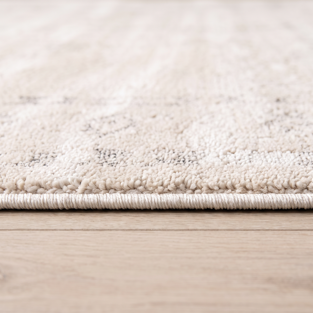 Eloria Oriental Modern Beige Indoor Rug
