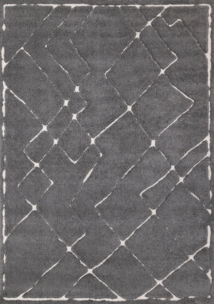 Contemporary Trellis Grey Area Rug