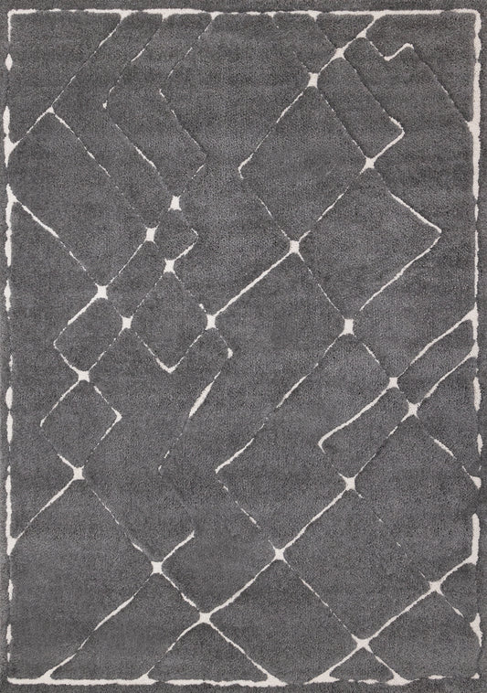 Contemporary Trellis Grey Area Rug