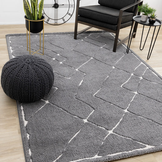 Contemporary Trellis Grey Area Rug