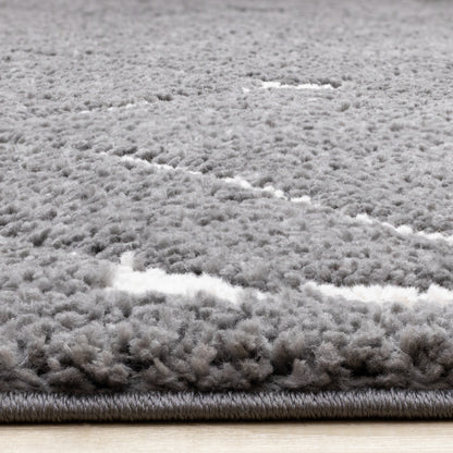 Contemporary Trellis Grey Area Rug