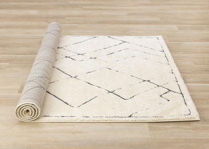 Contemporary Trellis Cream Area Rug
