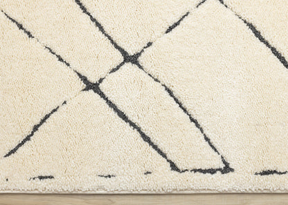 Contemporary Trellis Cream Area Rug
