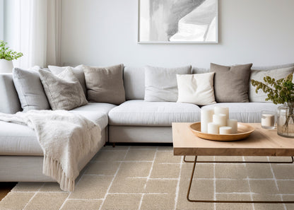 Contemporary Stripes Grey Area Rug