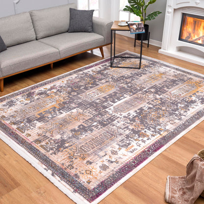 Paletta Distressed Medallion Transitional Grey and Beige Indoor Rug
