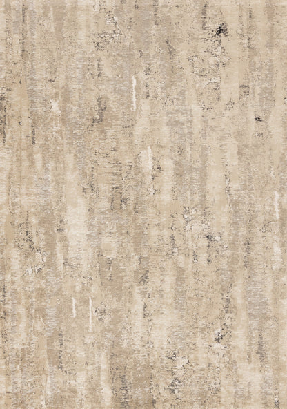 Contemporary Distressed Organic Beige Area Rug