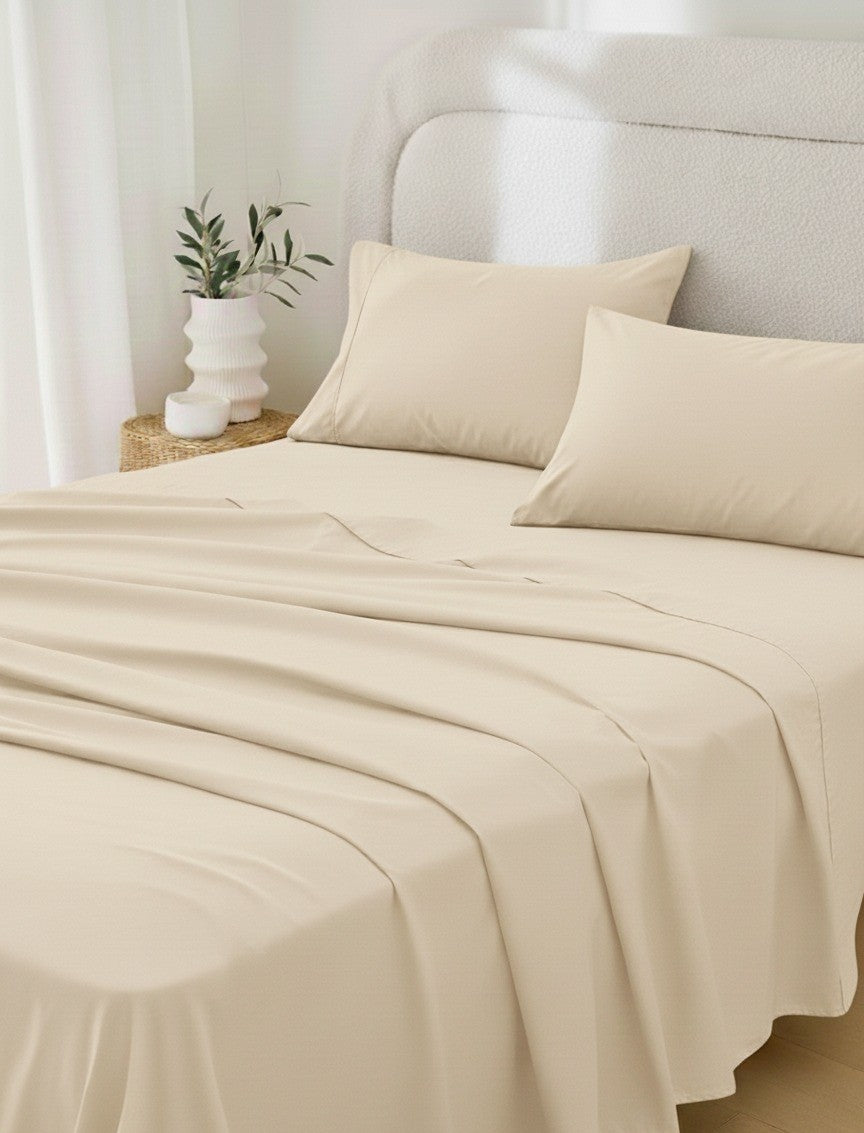 Rug Branch California Cotton Club 2 PC Queen Pillowcase-Ivory-1