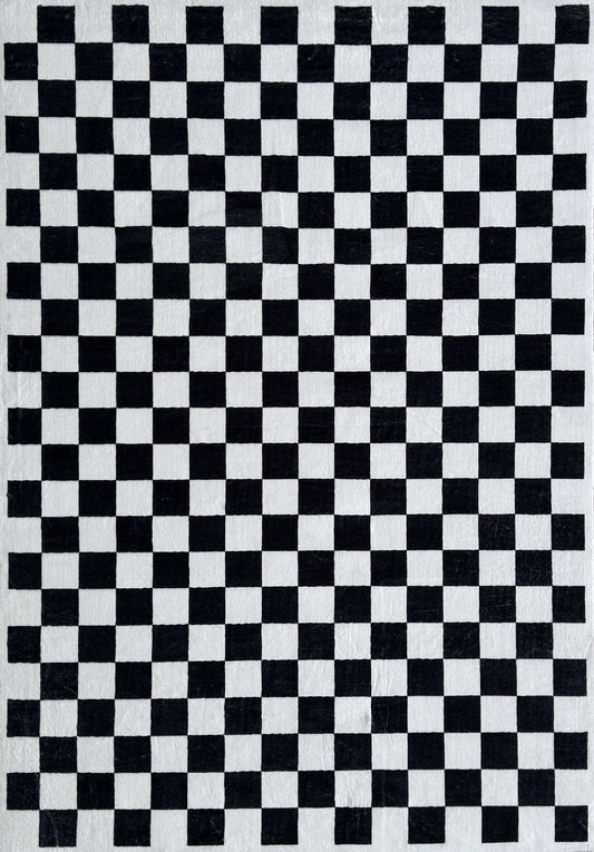 Jaque Checkered Modern Black and White Indoor Rug