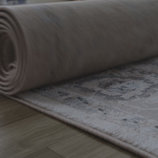Wiam Distressed Medallion Traditional Beige and Ivory Indoor Rug-6