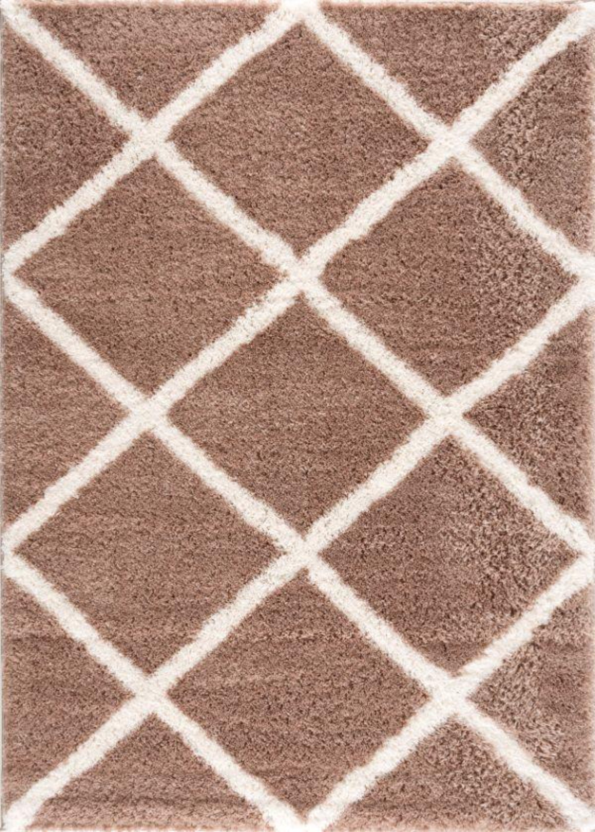 Terra Trellis Comtemporary Brown and White Indoor Rug-1